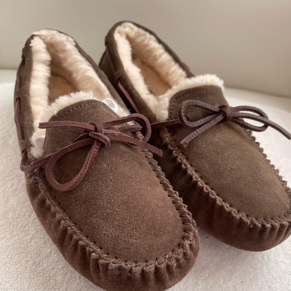 NEW Ugg Dakota Slipper (Women)